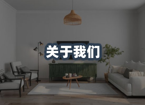 关于我们