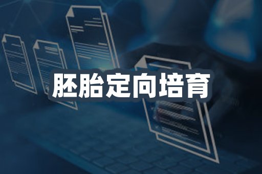 胚胎定向培育